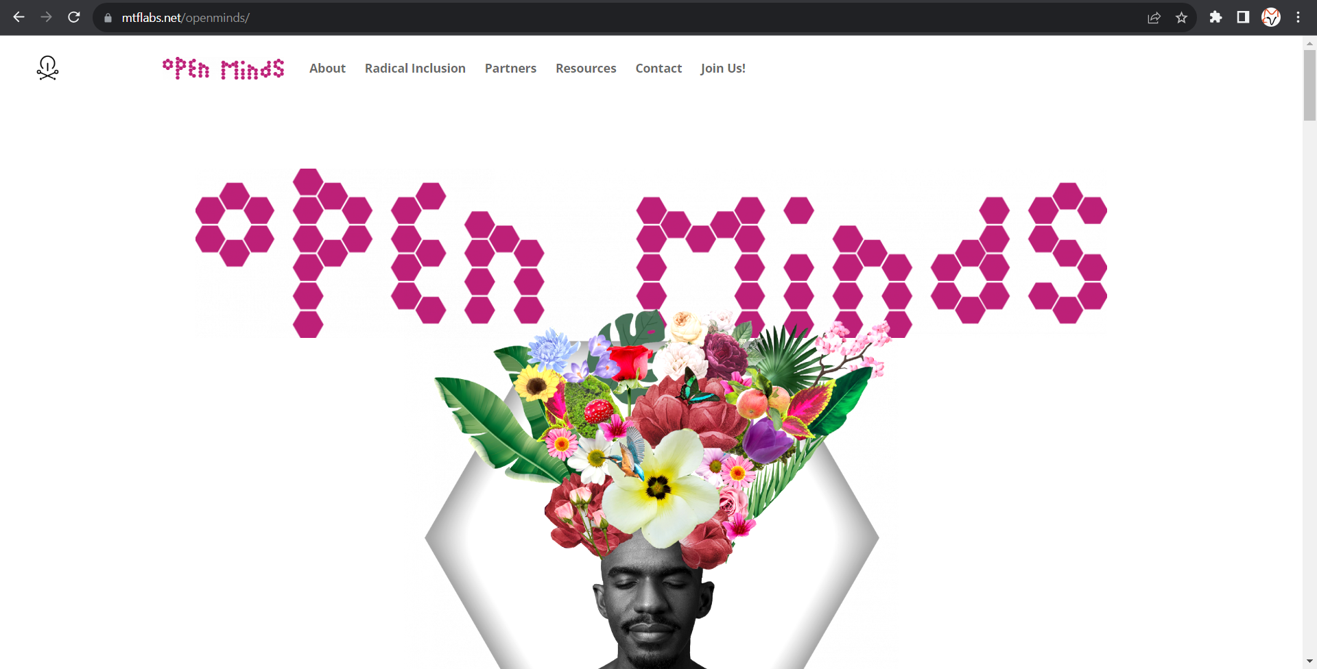 Open Minds Toolkit – Vulpes Labs